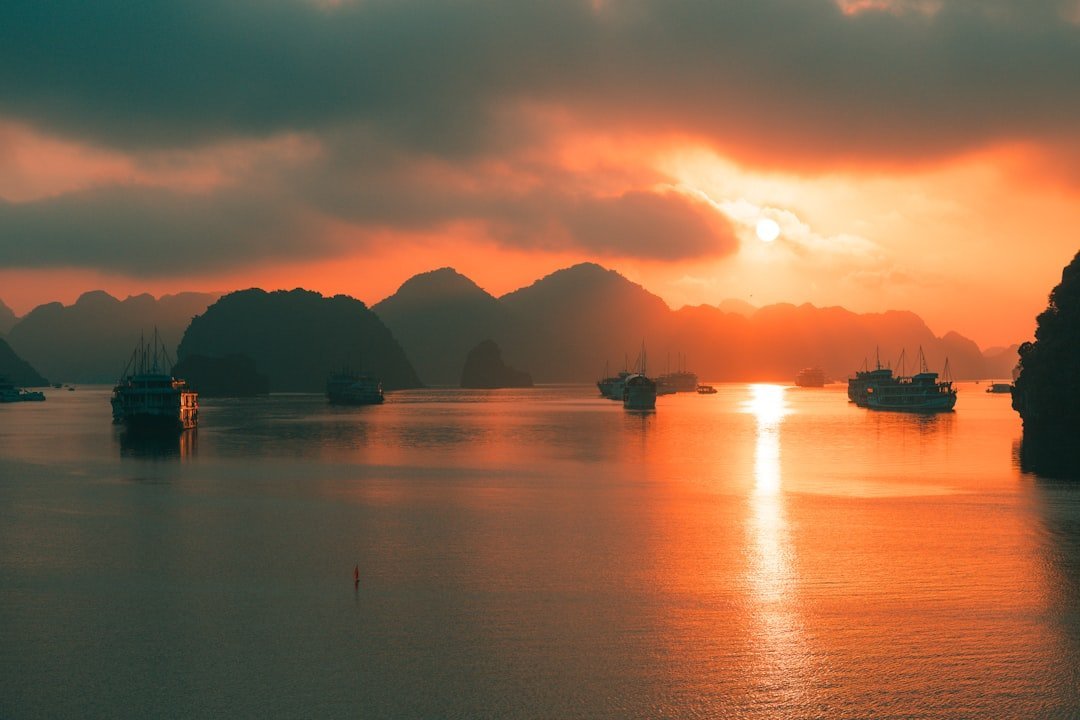 Sun Festo Town Sun Elite City: Giới Thiệu Và Bảng Giá 1 Sun Festo Town Sun Elite City: Giới Thiệu Và Bảng Giá